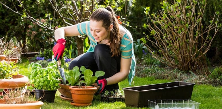 Gardening