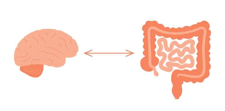 Gut and Mind